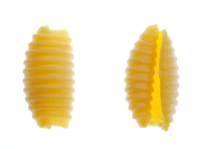 Pasta Fresca all